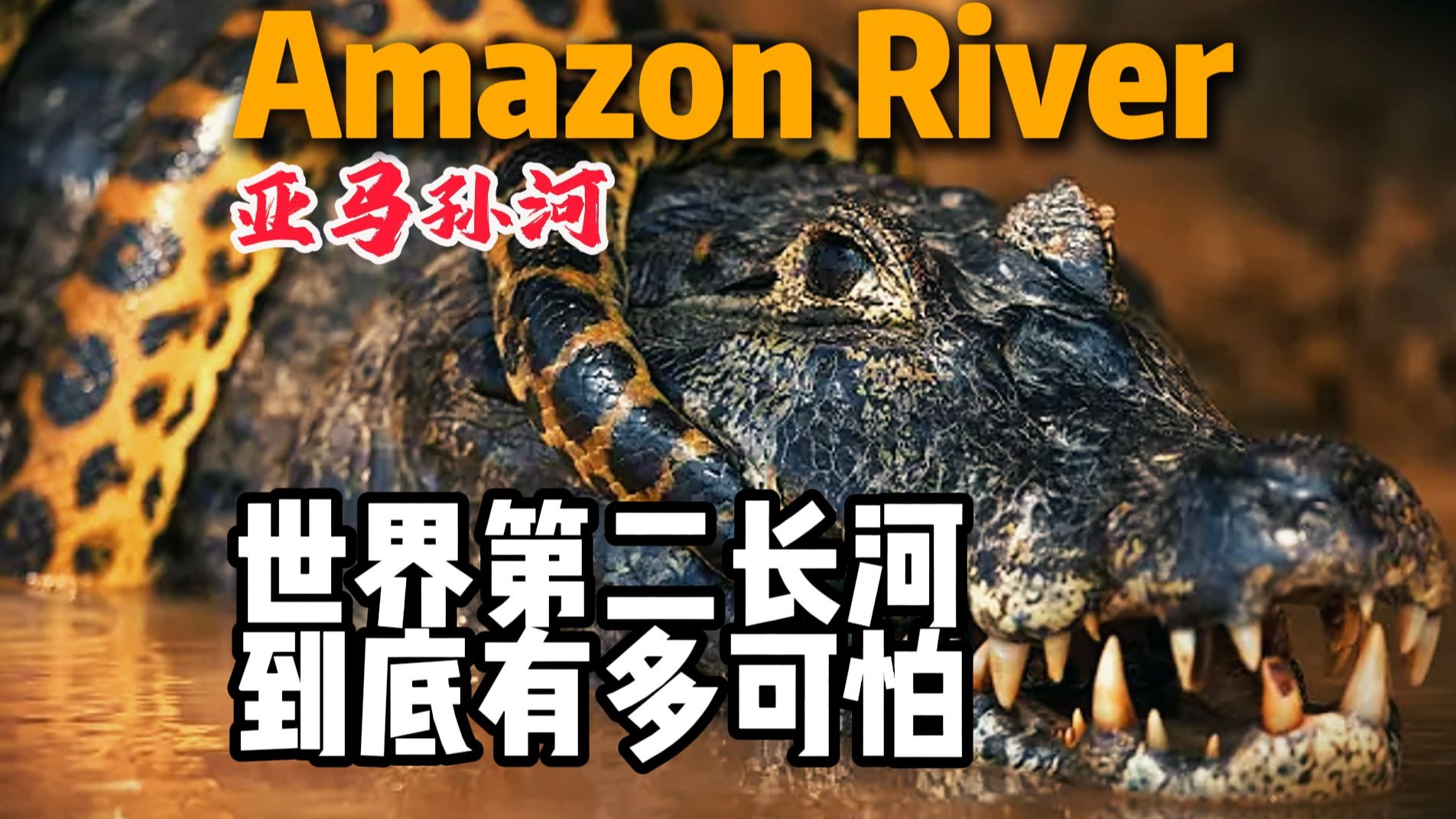亚马孙河：世界第二长河到底有多可怕？为啥没人敢轻易下水游泳？