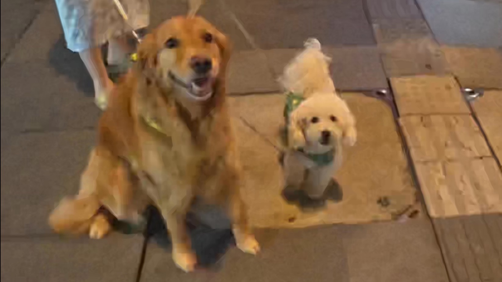 是爱 让她们成为彼此最珍贵的礼物