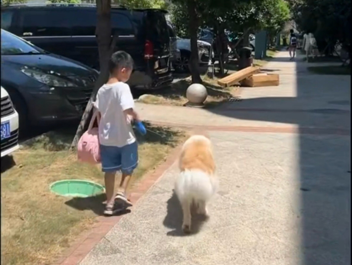 假期接近尾声了，小安吉的几个5天也马上结束了。这两天在上海