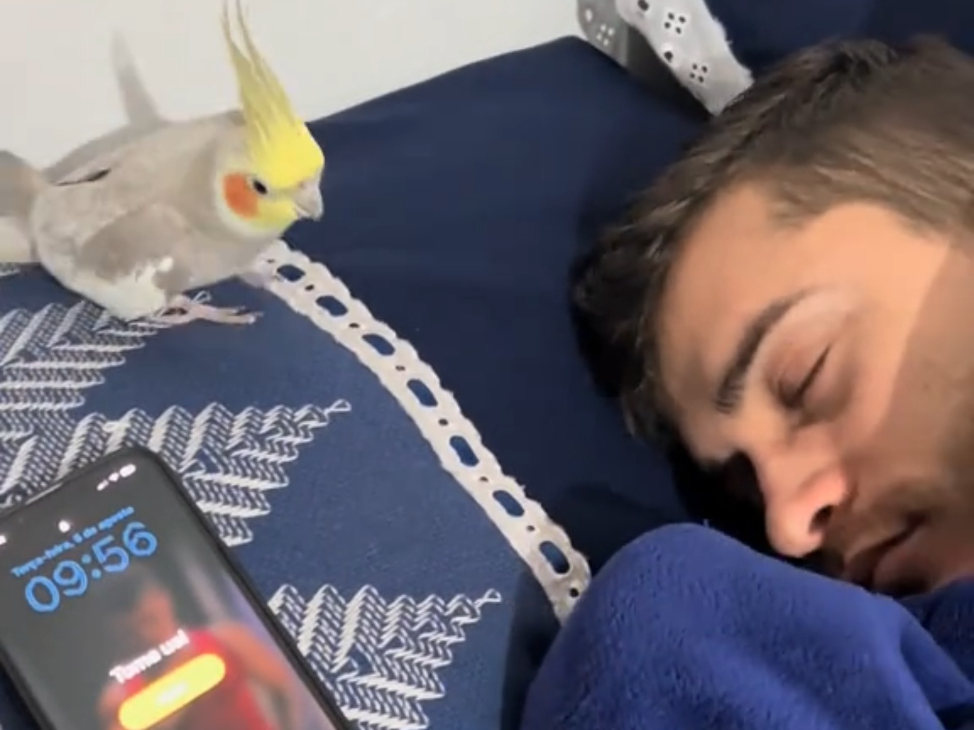 看上去睡觉了，实际走了有一会了