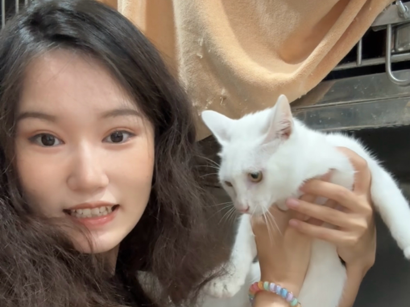 小贼找到领养啦！