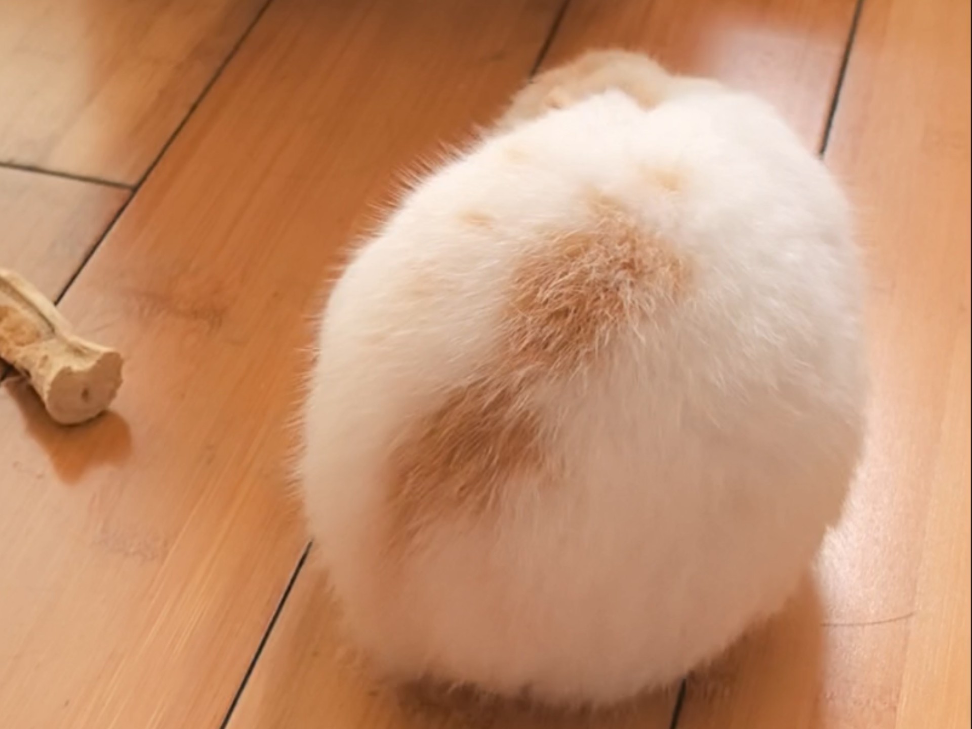 奶油焦糖小面团