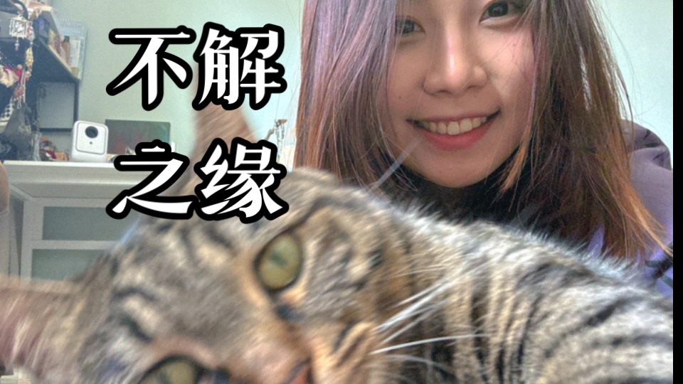 【银河漫谈】动物真的有灵性！细数我和小动物的不解之缘 奇遇