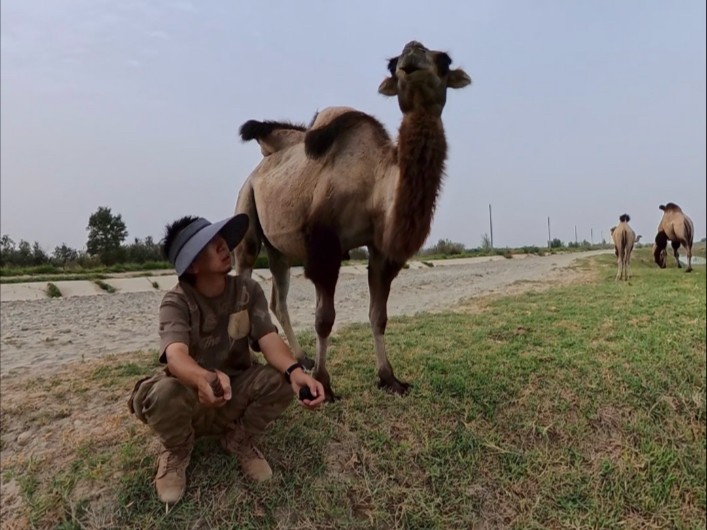 日常碎片 清内存