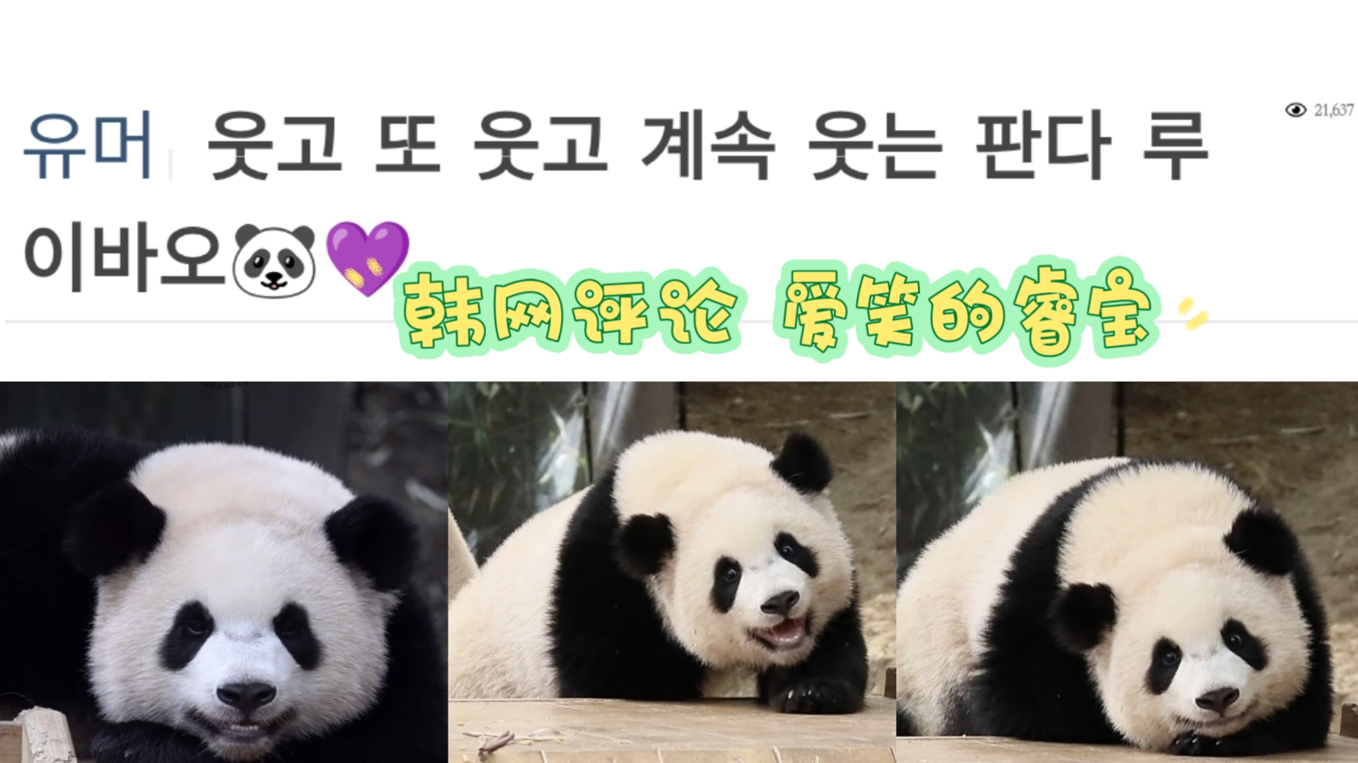 韩网热帖 ——爱笑的睿宝。