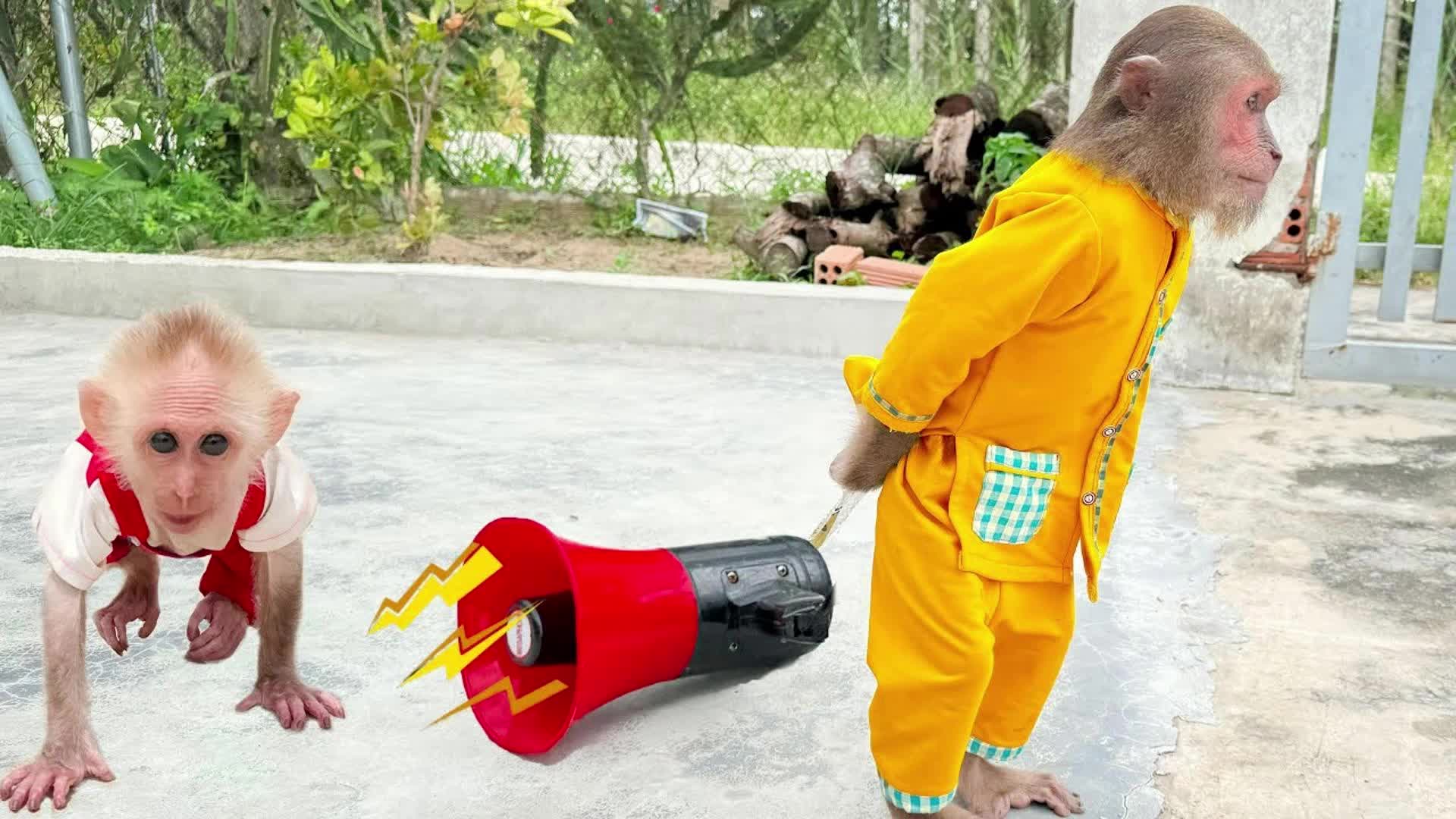 拿上喇叭，走街串巷，靠谱苏卖鲜果切了