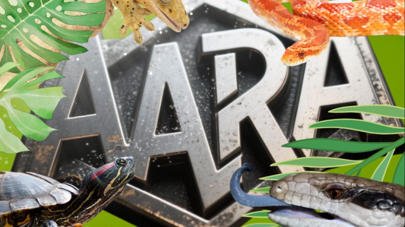 养得好就能参赛领奖？两爬饲主千万别错过！