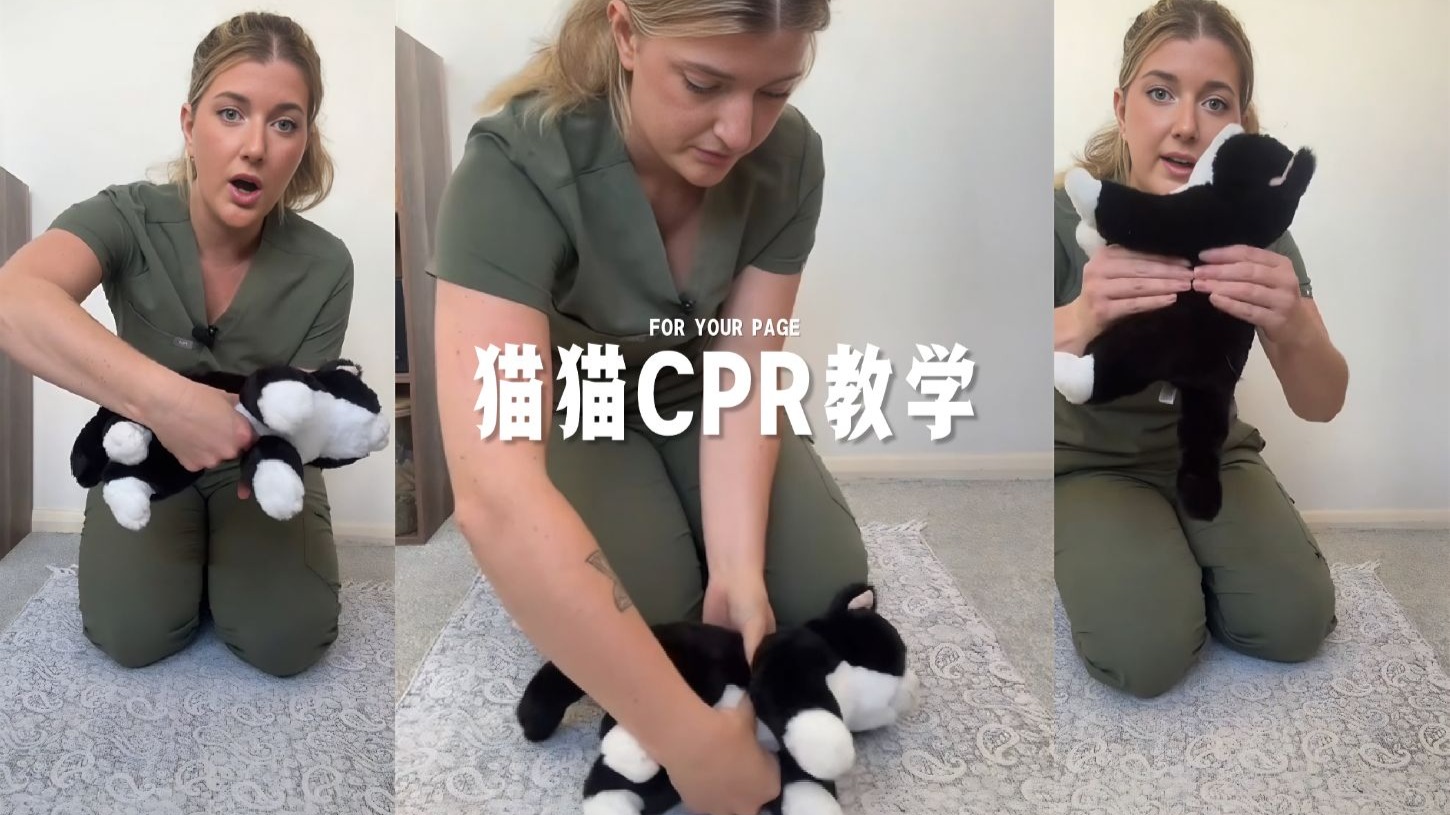 「养猫必看」如果猫猫突然没呼吸，千万别慌，心肺复苏急救（CPR）抢