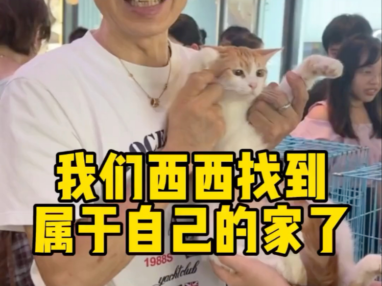 一会不见不散❤️#浦江欢乐颂二期