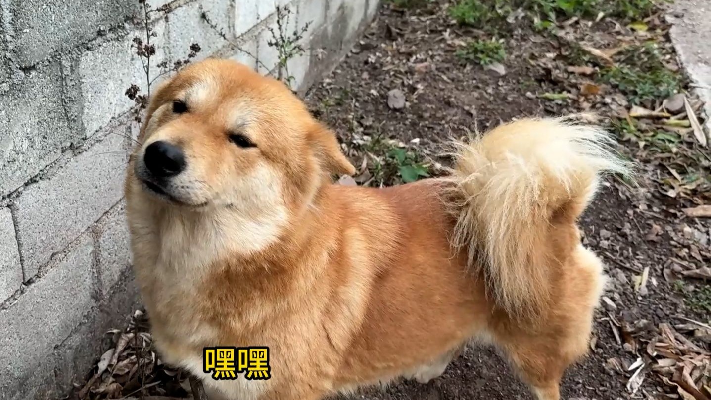 错和没错的区别