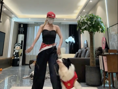 高智商小狗的丝滑舞蹈