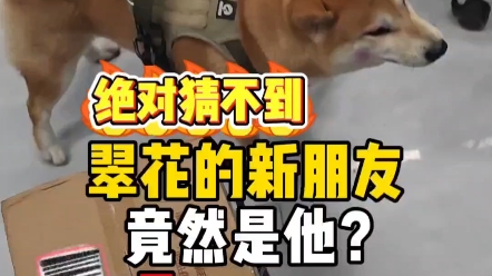 翠花：托尼来玩了！你管钢铁侠叫托尼？