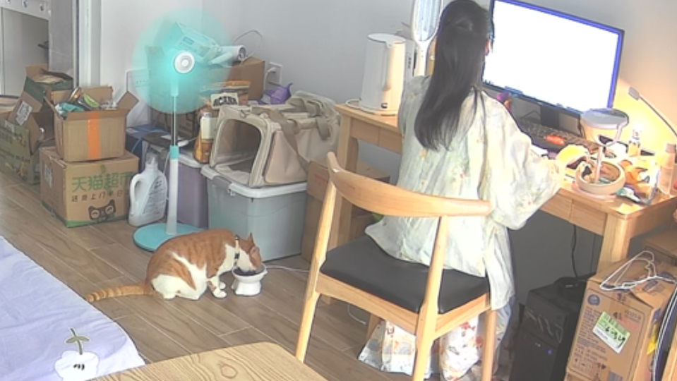 猫只负责炫饭，人只负责赚猫粮