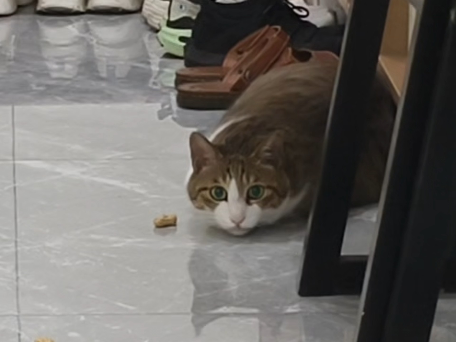 谁是最佳守门员！！