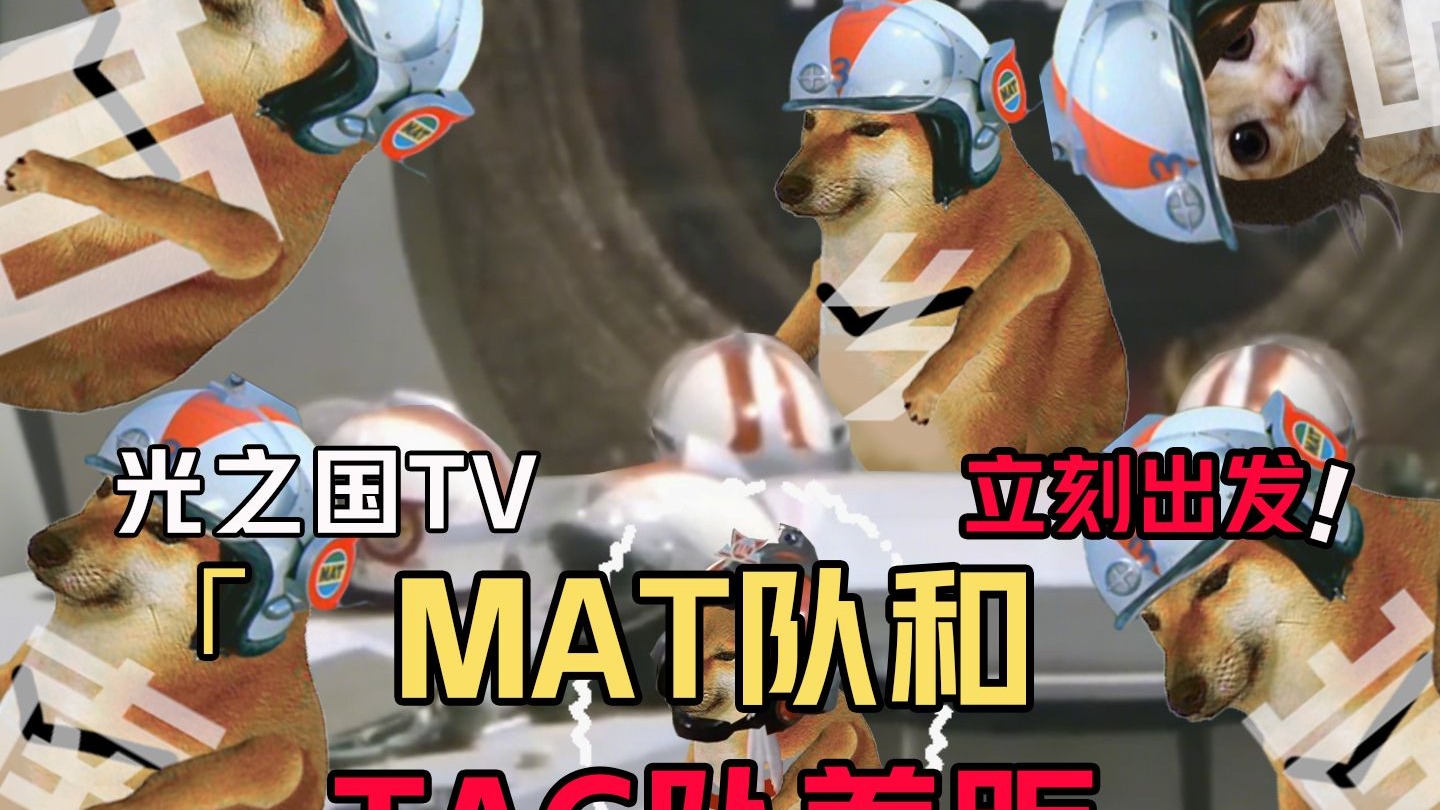 mat队和tac队的差距