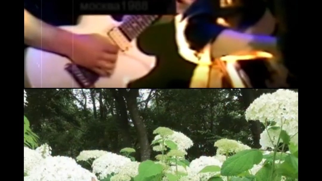 2025的孩子:"老兄这是什么"