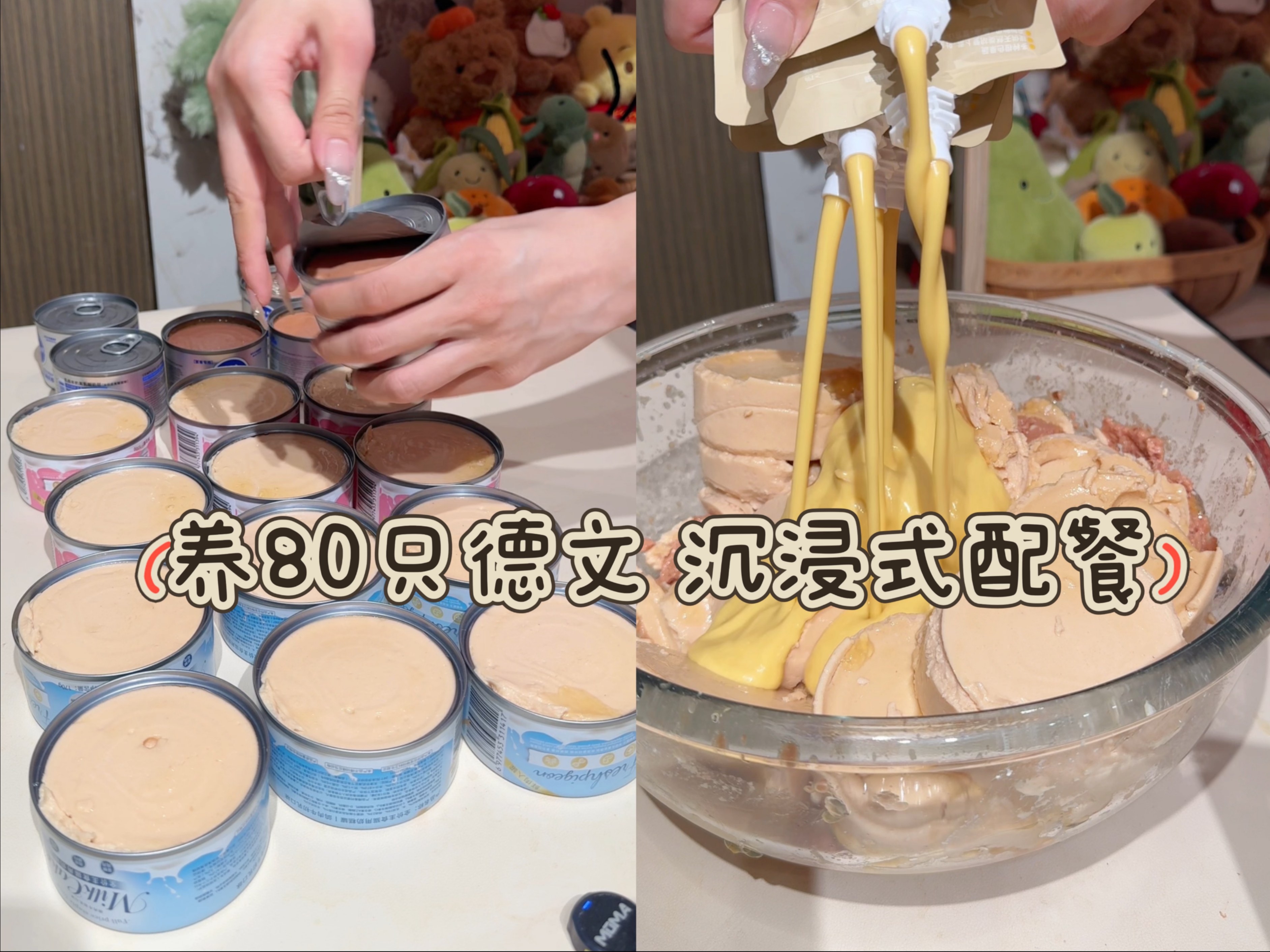 养80只德文·沉浸式配餐开罐头 大盆饭就是爽