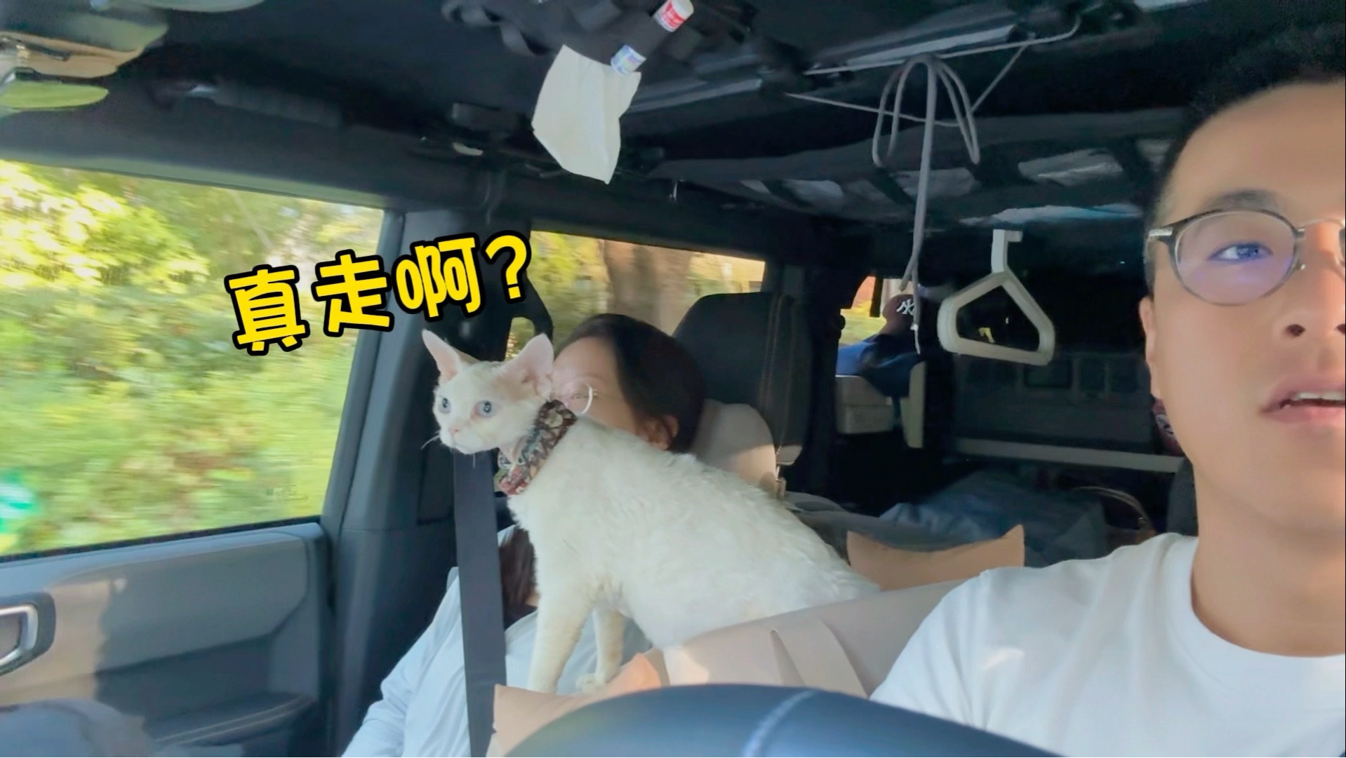 Let‘s go 带猫出发贵州