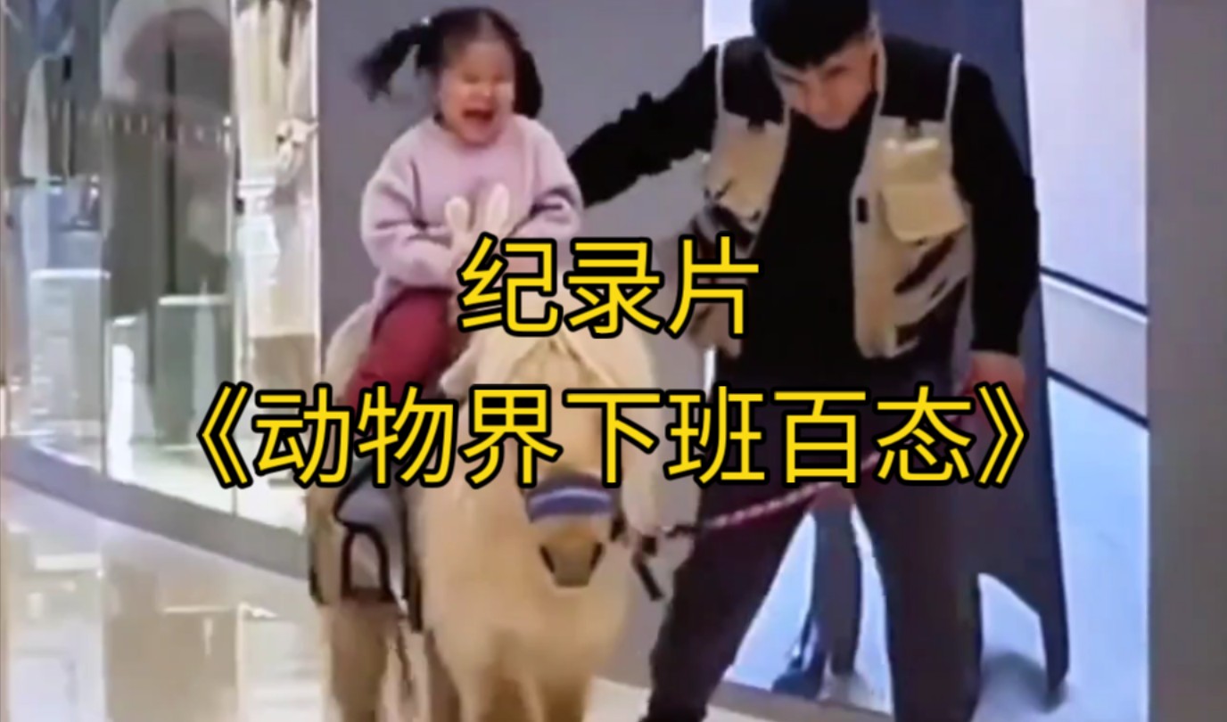 大型纪录片《动物界下班百态》持续为您播出！