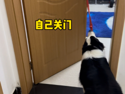 真的好乖