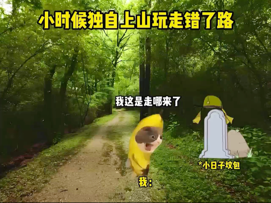 感谢你们的默默付出 #猫meme #猫meme小剧场 #致敬先烈 #缅怀
