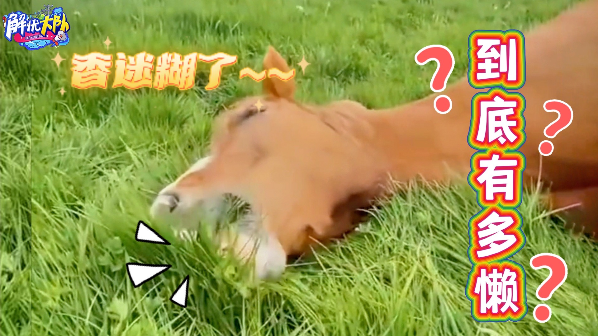 为了偷懒多努力？还真是各显神通