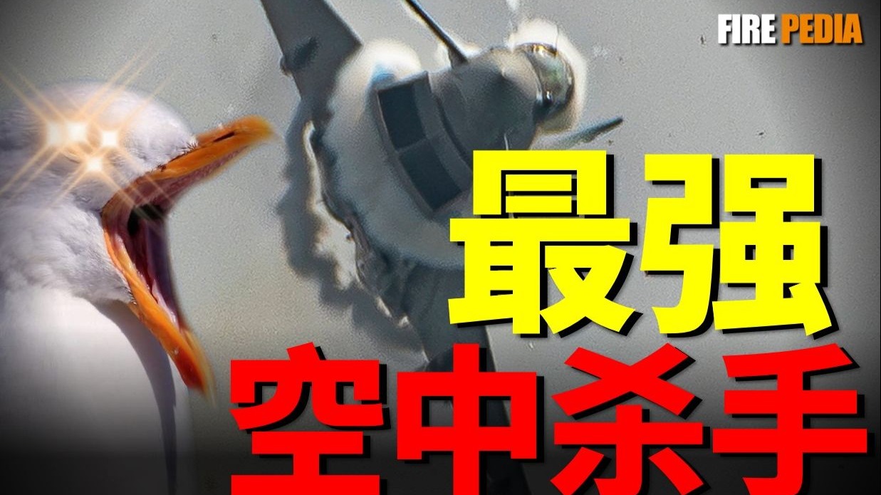 飞机撞鸟，为何威力堪比炮弹？海鸥瞬间瘫痪台风战斗机！每年花费数