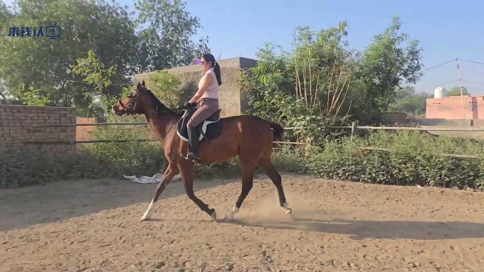周日在自己的地方骑马
