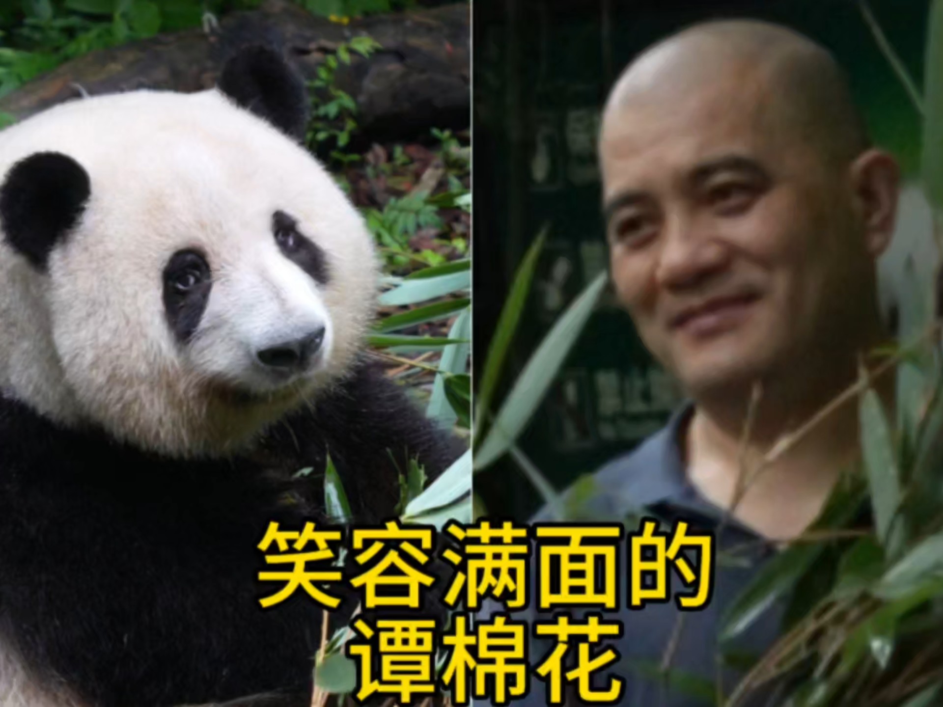 【皮球是龙猫】视频加载中，速速查收惊喜！