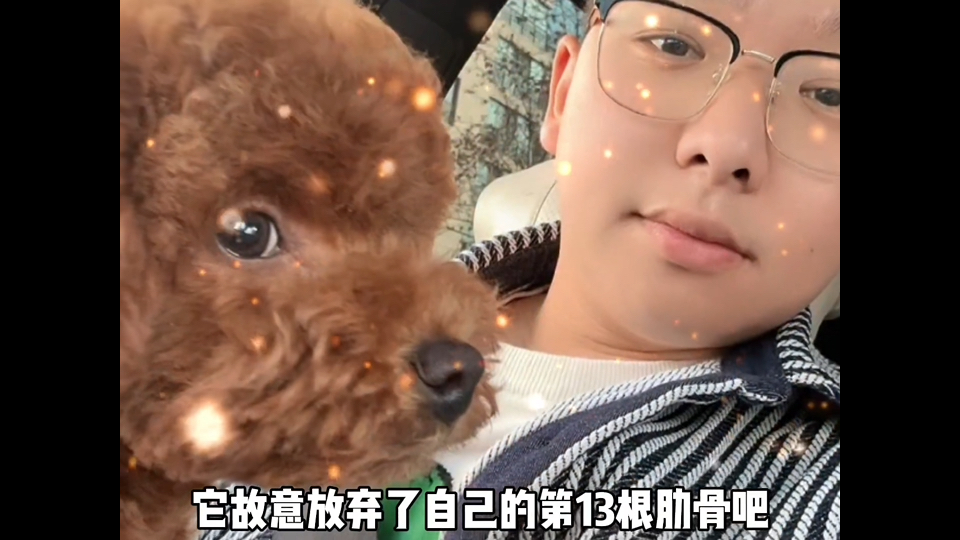 “原来离开世界的宠物真的能再次回到主人身边！ ”