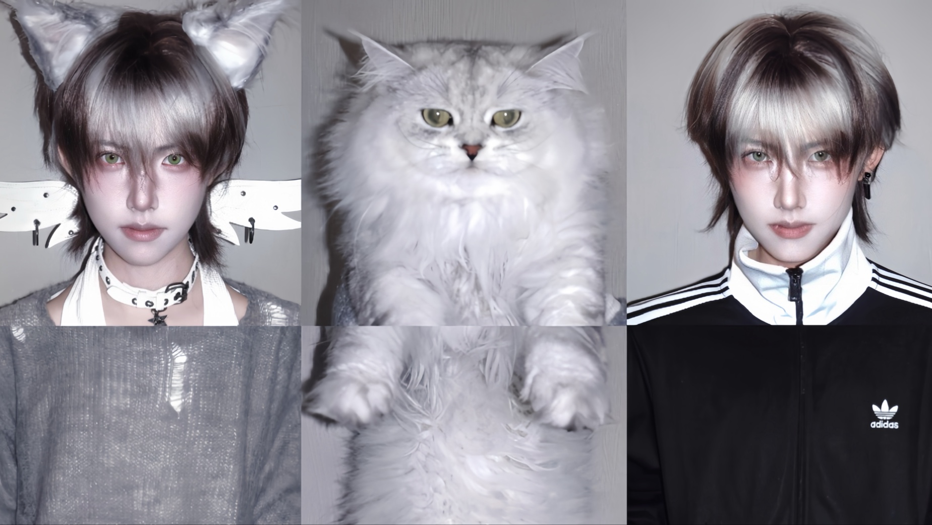 当我打扮成小猫拟人版？和小猫拍“亲子”写真vlog！