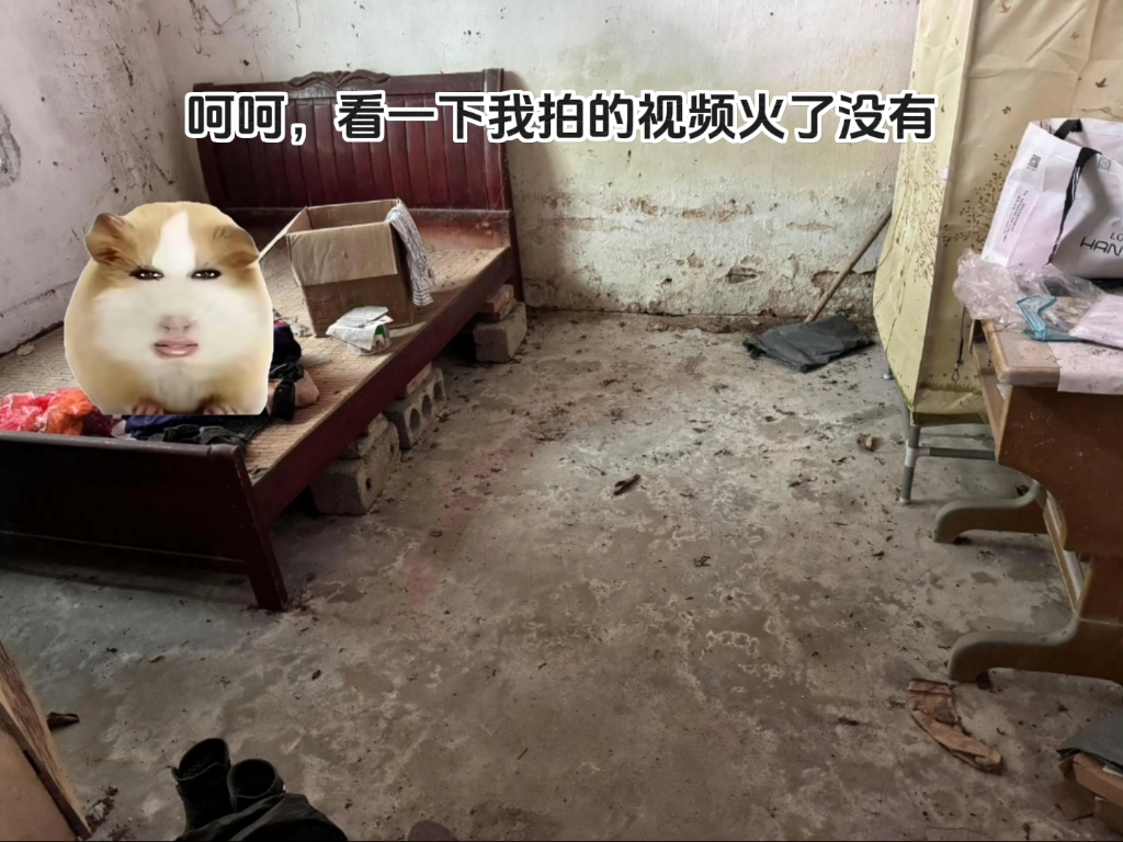 #猪妞