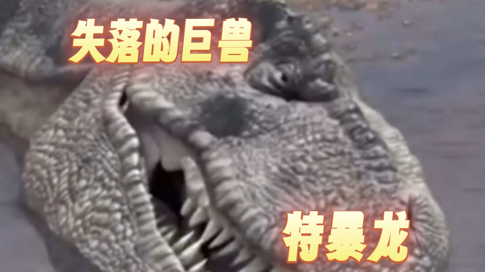 【失落的巨兽】特暴龙的前世今生，特暴系列的最终章