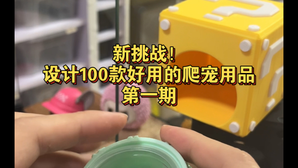 全新挑战开篇！为爬宠们设计100种好用实惠的用品～第一期