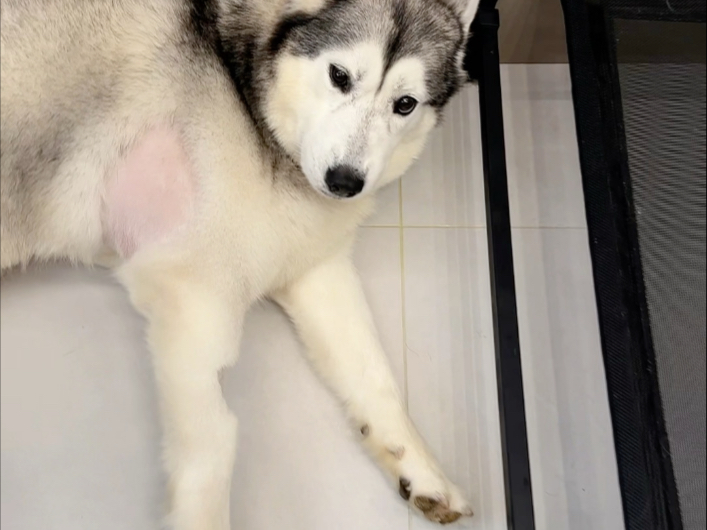 还能在抢救一下，奇迹一定会发生