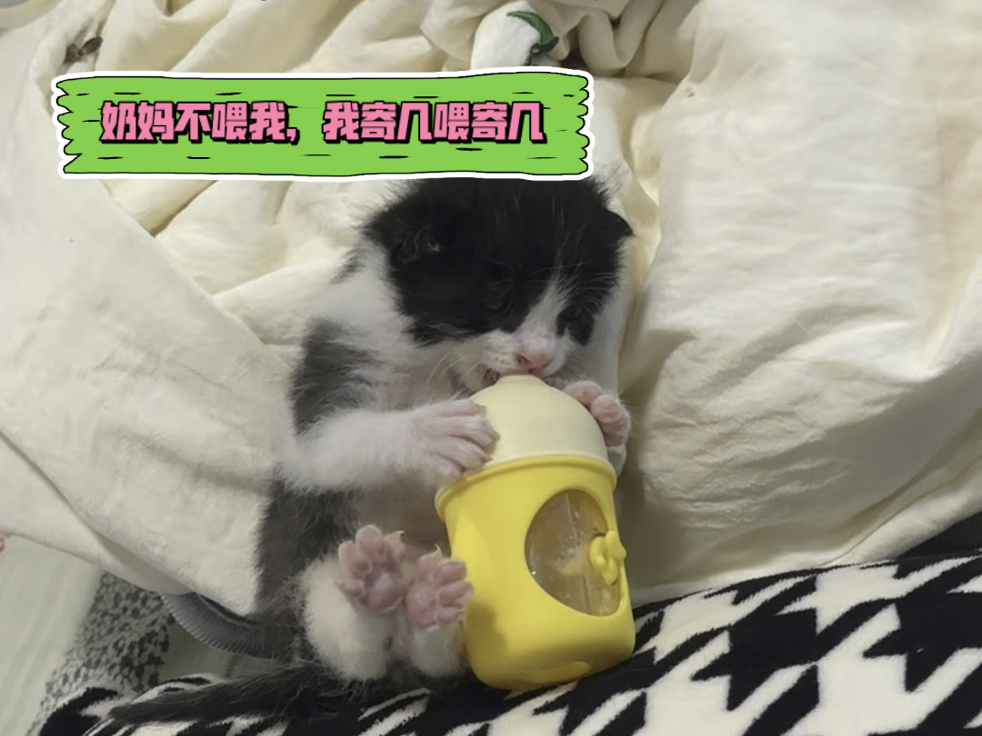 没有奶妈帮忙怎么办！我自己奶！！