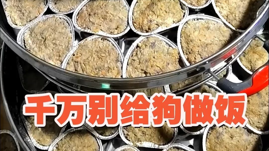 千万别给狗狗做饭！不然…