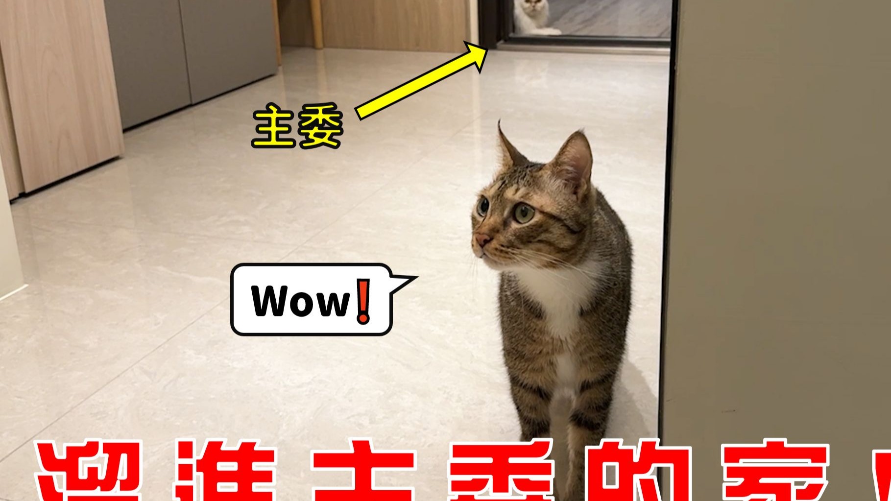 【豆漿 - SoybeanMilk】溜進主委的家!? 一日主委保母！