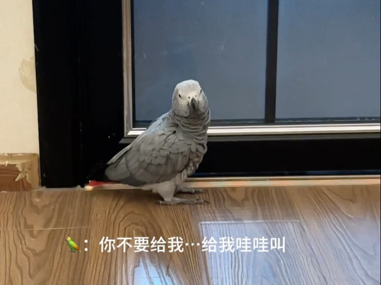 更新～盗视频的去si