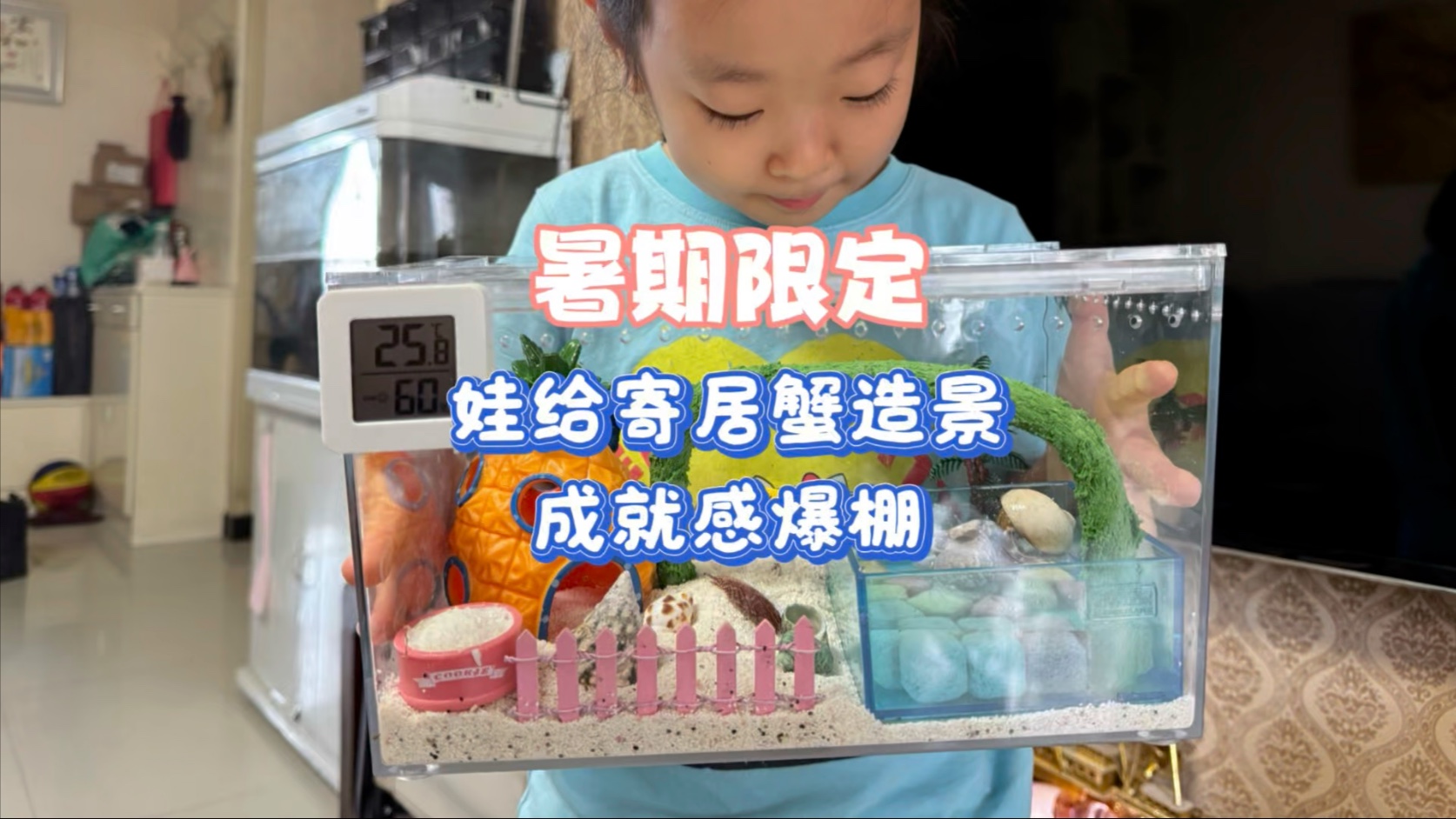 暑期限定，娃给寄居蟹造景，成就感爆棚