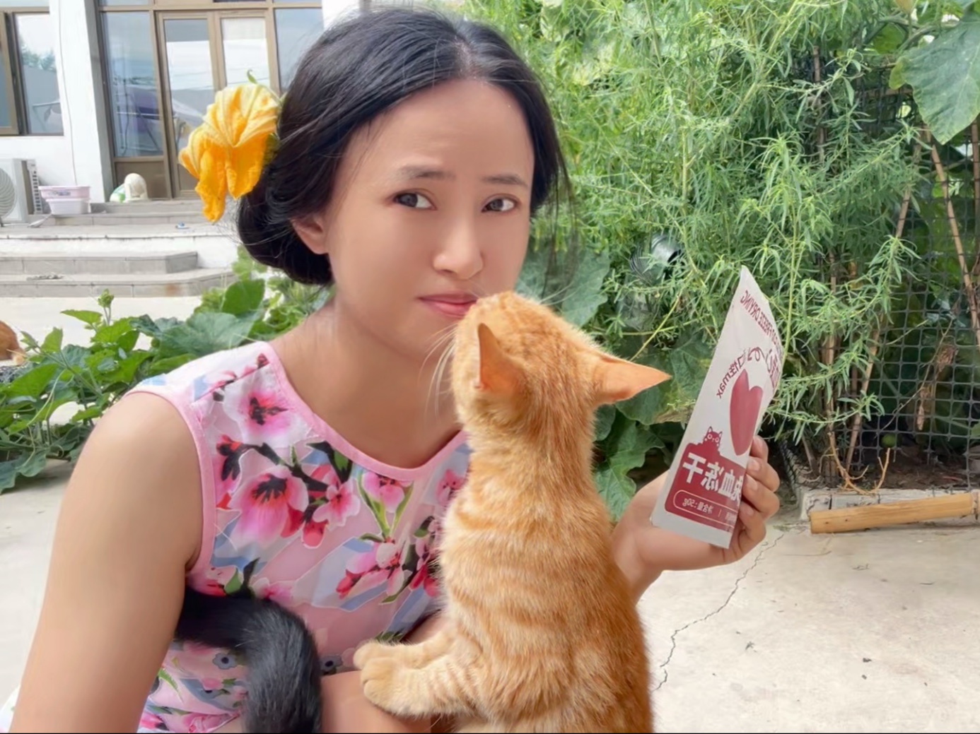 我又被小猫咪亲亲了