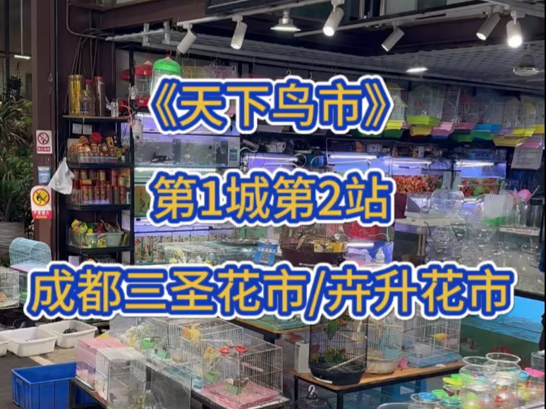 天下鸟市第1城第2站:成都三圣花市和卉升花市