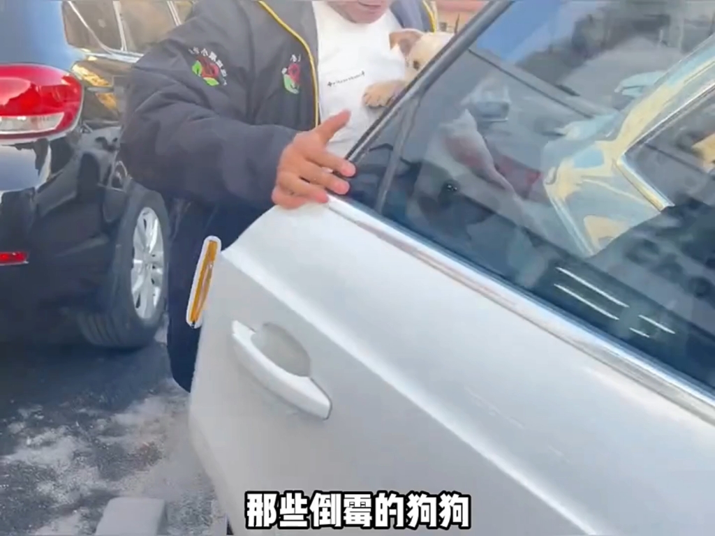 萌宠来袭