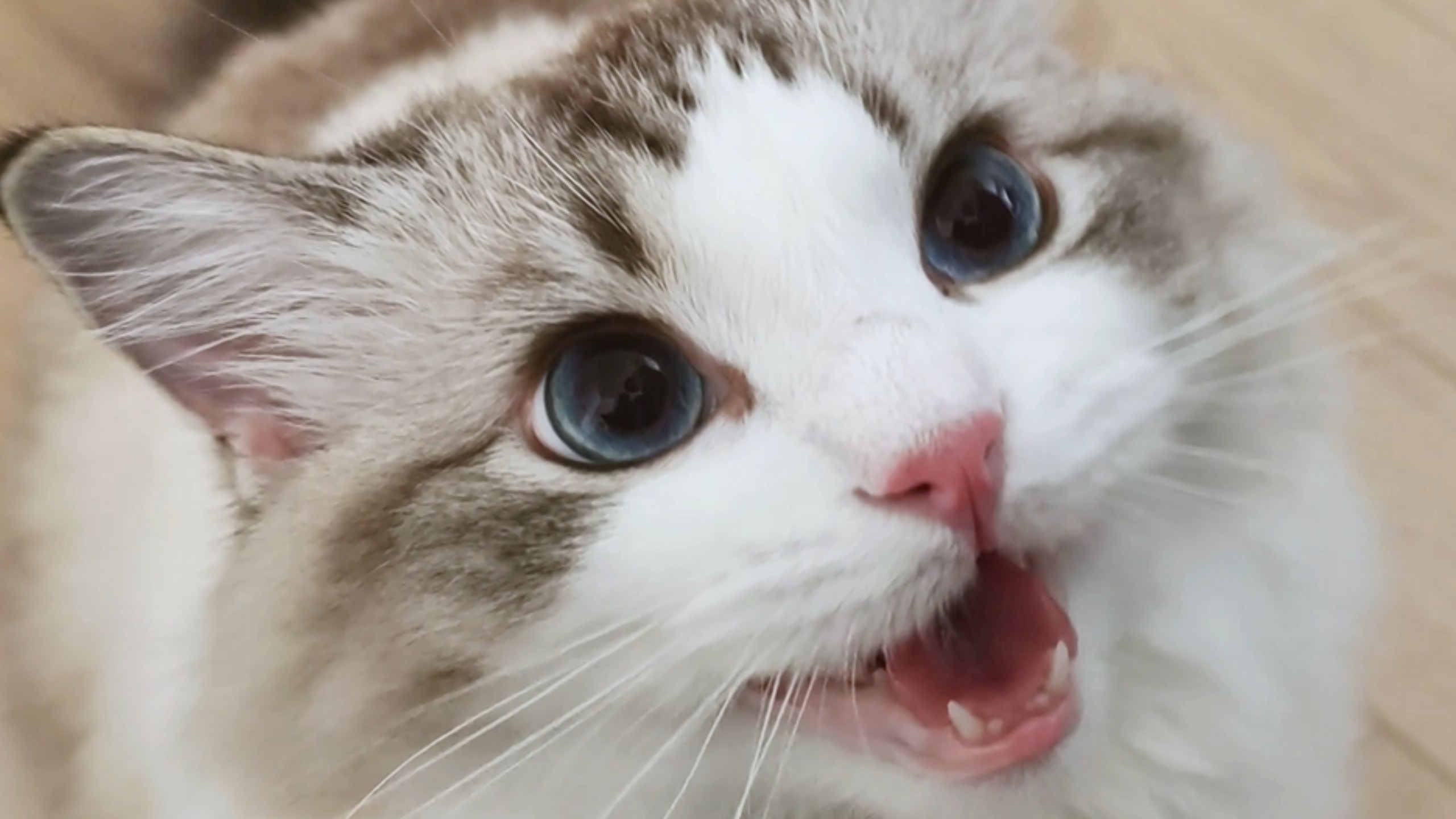 爸爸你已经一分钟没陪我了