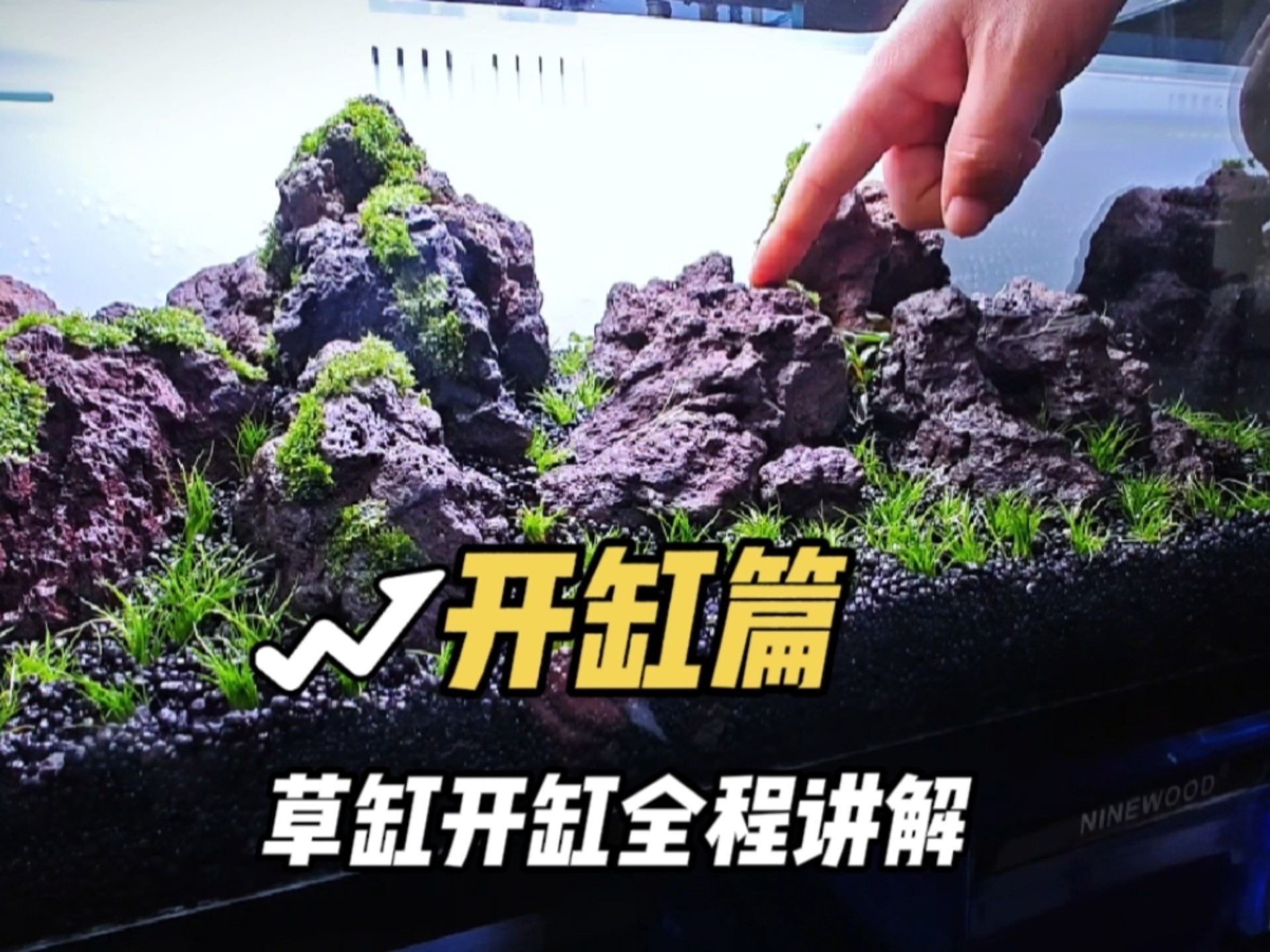 这才是 一帧都不容错过的草缸造景视频教程…全程详细讲解开