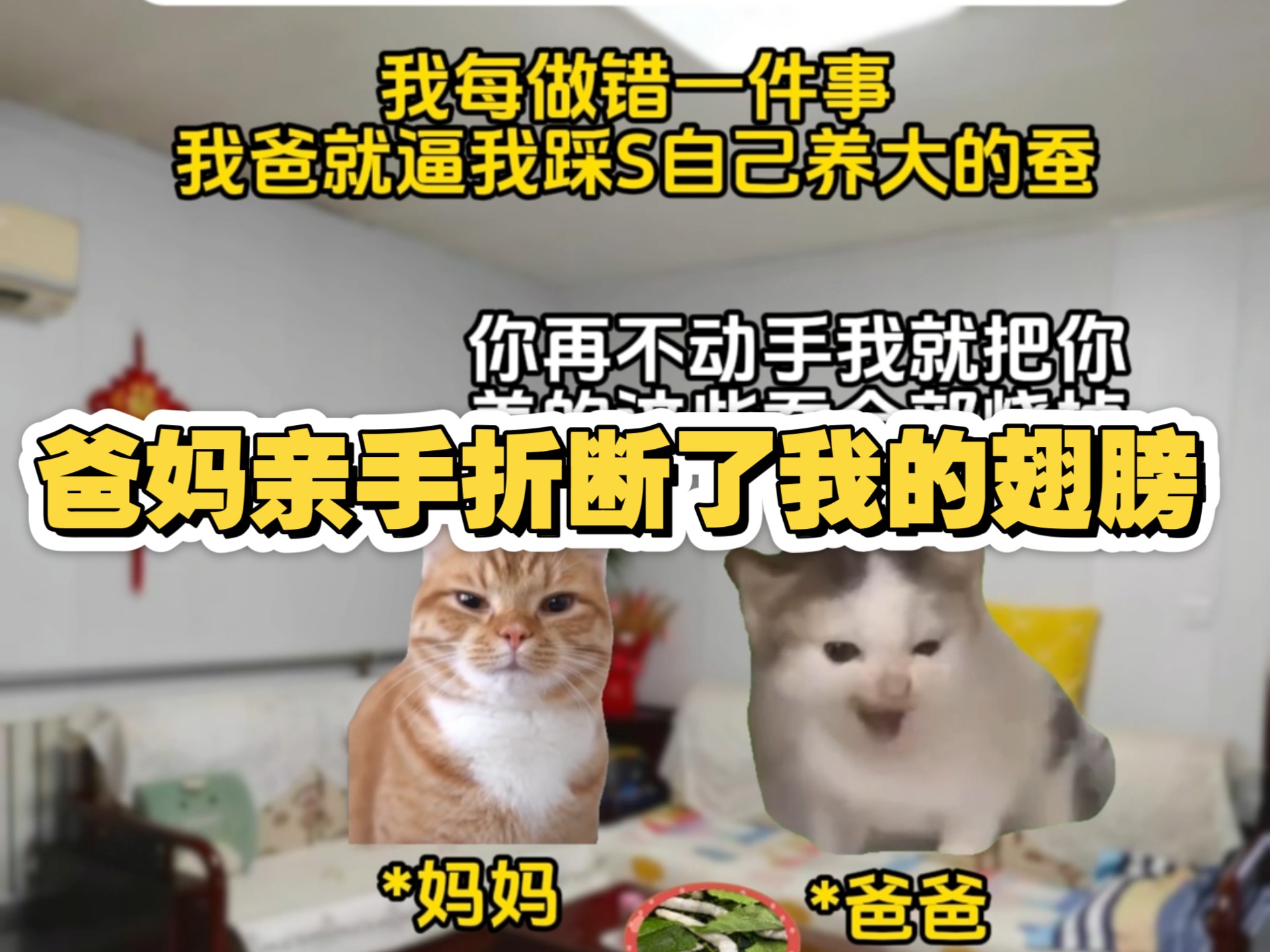《蝴蝶的光》1～4：我每做错一件事，我爸就逼着我踩S自己养大的蚕