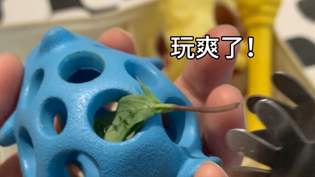 以防你没见过狗狗迪士尼