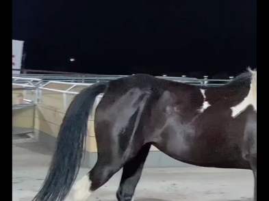 【马场的小国】更新啦，赶紧来围观吧！