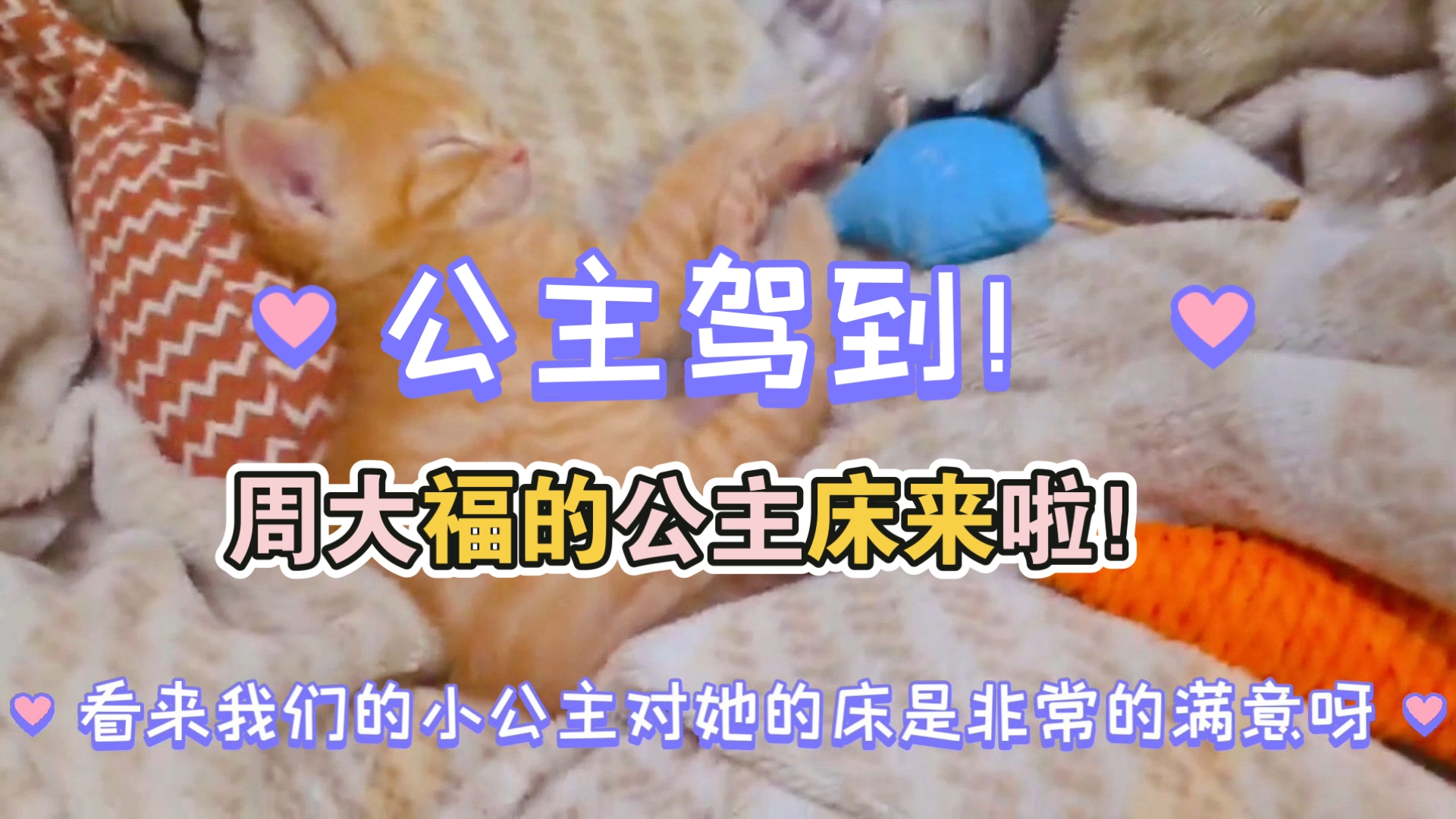 我们周大福小公主有公主床啦～