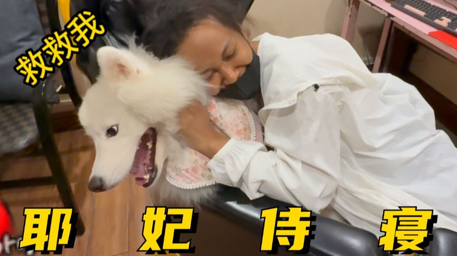 家花哪有野花香